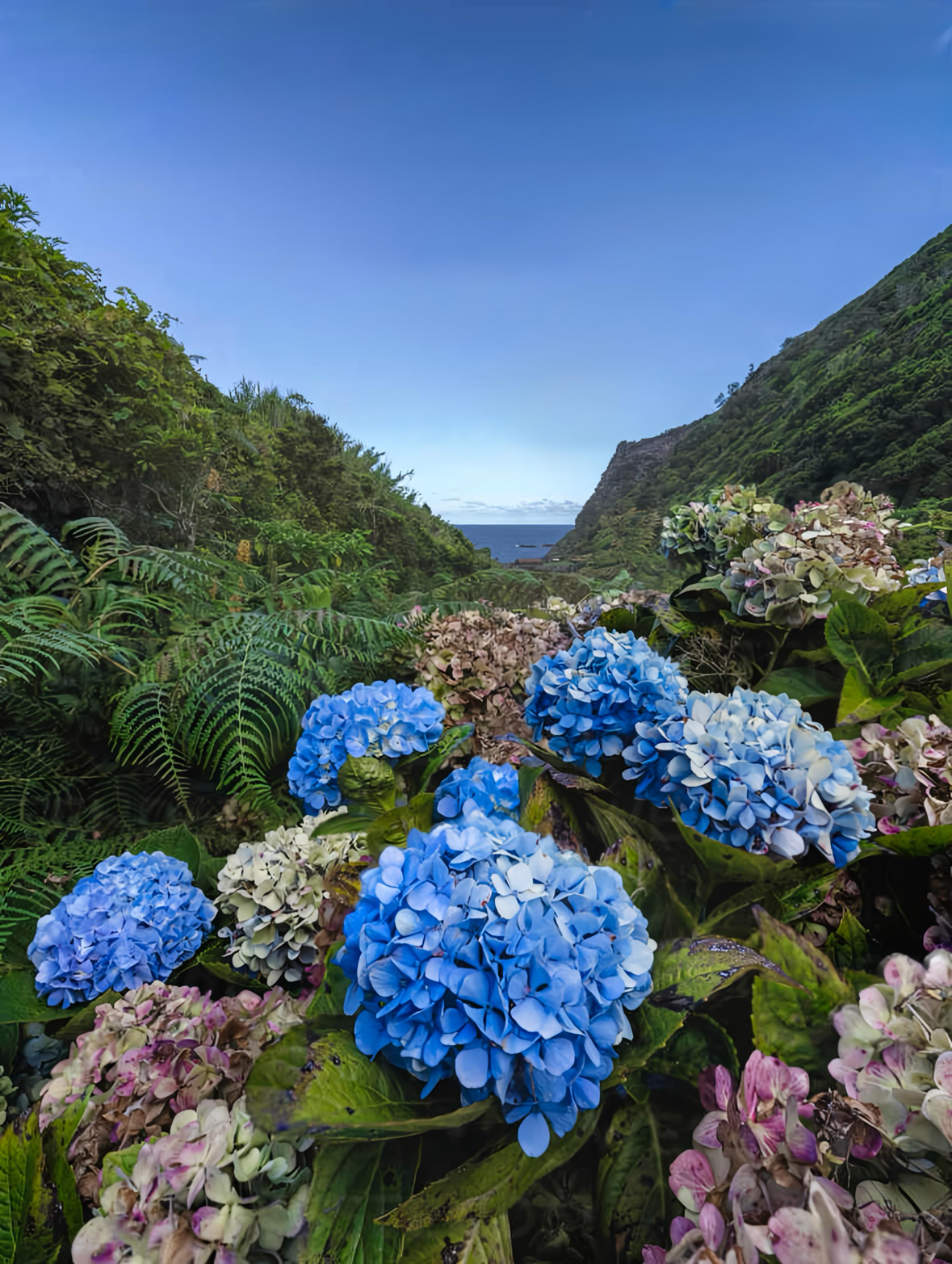 Die Insel Flores – das abgelegenste Paradies Europas